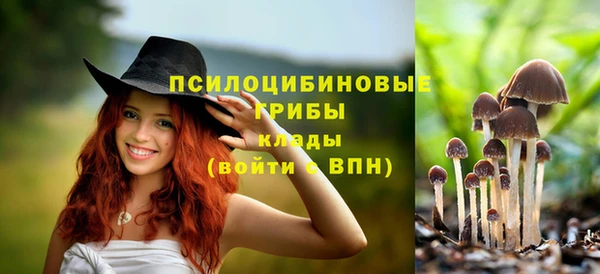 стафф Абаза