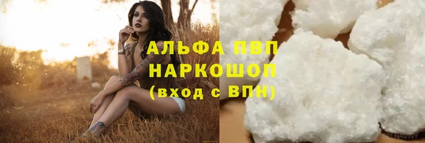 стафф Алексин