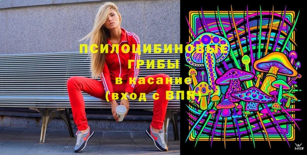 стафф Абаза
