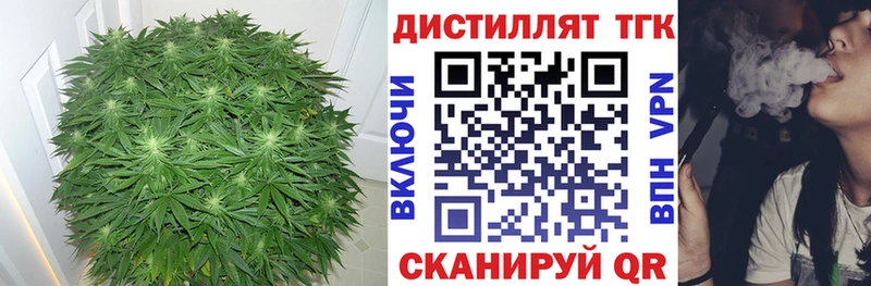 ТГК THC oil  купить наркотик  ссылка на мегу зеркало  Алдан 