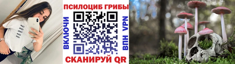 Галлюциногенные грибы Cubensis  Алдан 